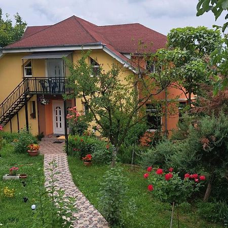 Casa Liana Hotel Oradea Exterior photo